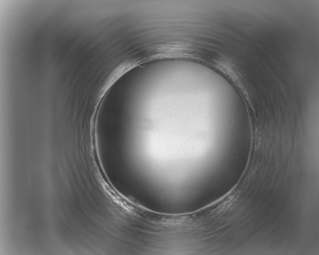 X0000052981386200507151817