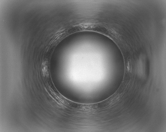 X0000052981396200507151816