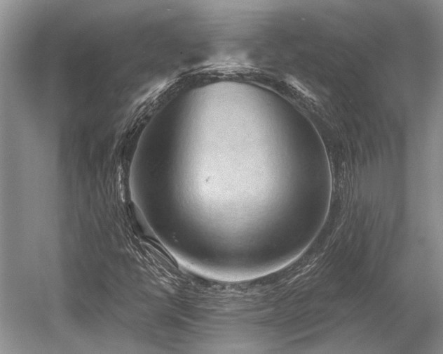 X0000052981398200507151816