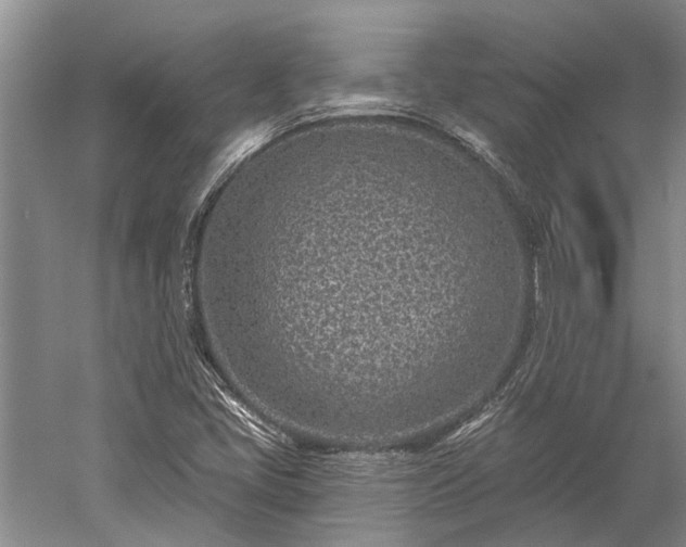 X0000052981405200507151816