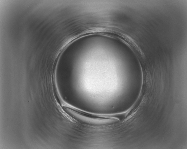 X0000052981417200507151816