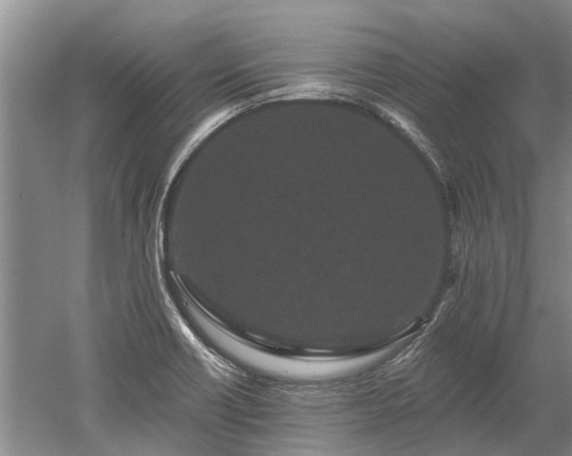 X0000052981418200507151816