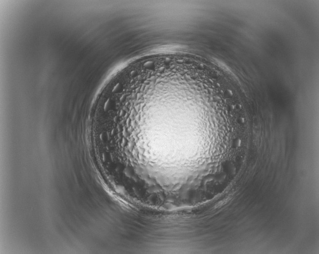 X0000052981421200507151816