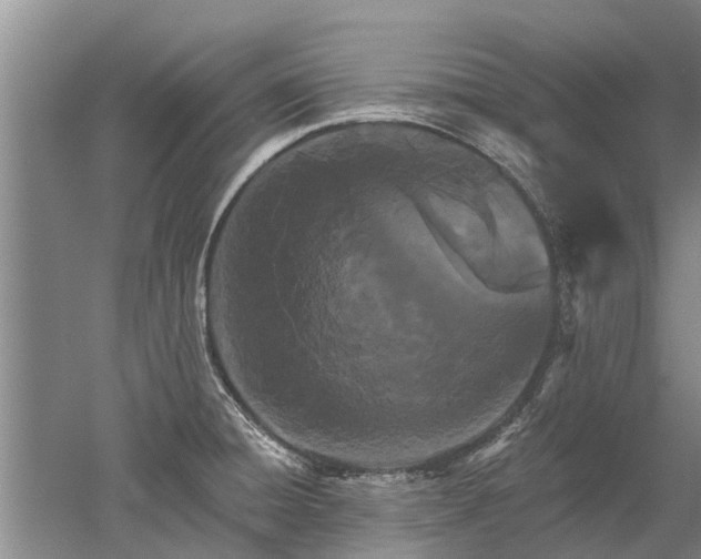 X0000052981428200507151816