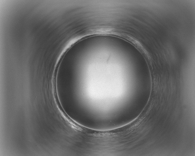 X0000052981432200507151816