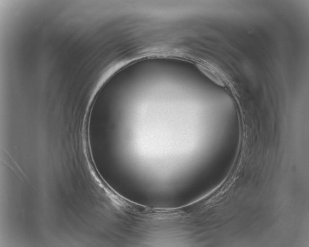 X0000052981440200507151816