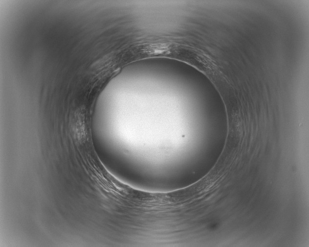 X0000052981442200507151816