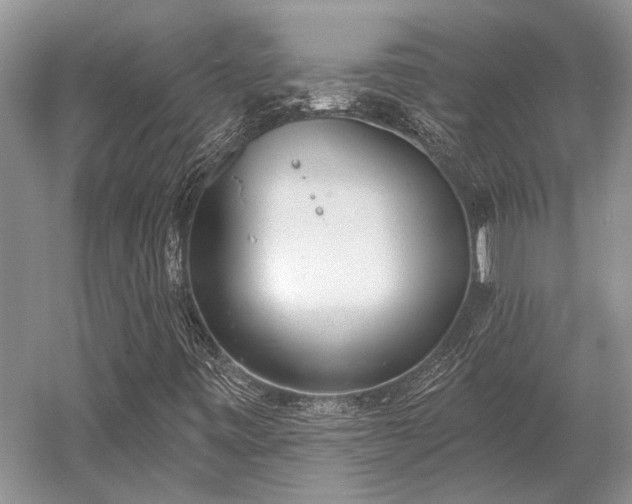 X0000052981443200507151816