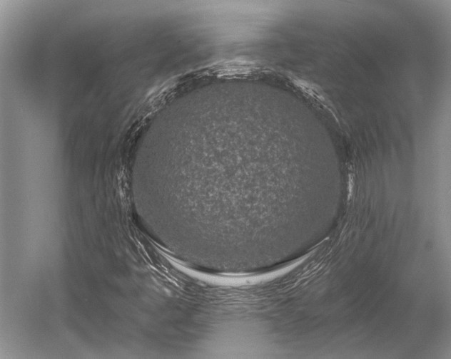 X0000052981445200507151816