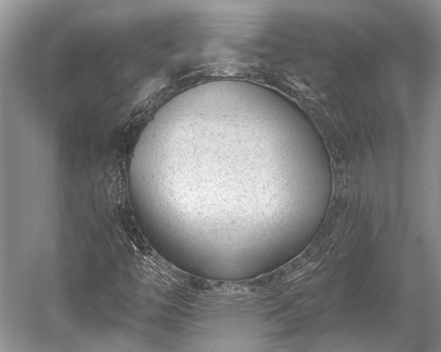 X0000052981446200507151815