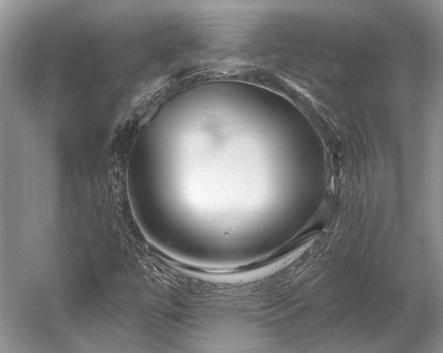 X0000052981447200507151815