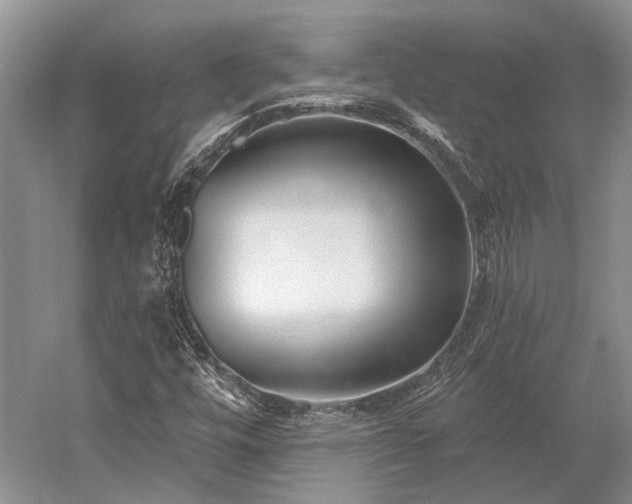 X0000052981448200507151815