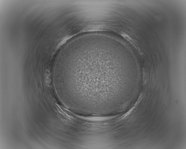 X0000052981449200507151815