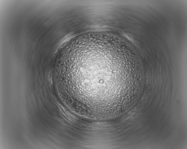 X0000052981451200507151815