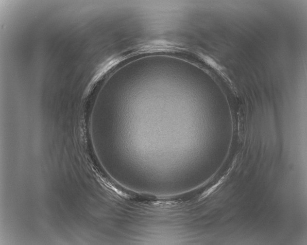 X0000052981453200507151815