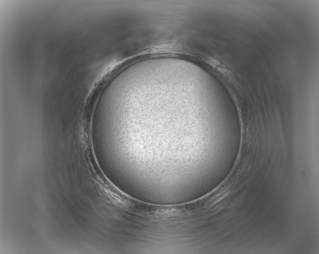 X0000052981454200507151815