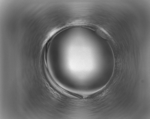 X0000052981461200507151815