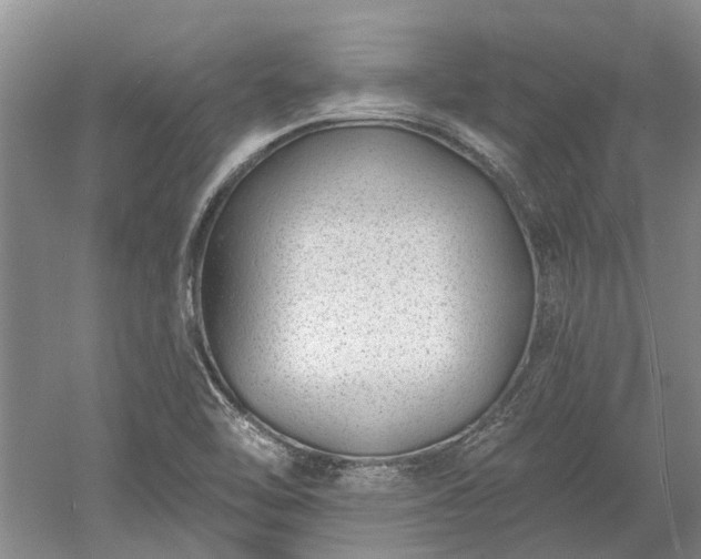 X0000052981462200507151815