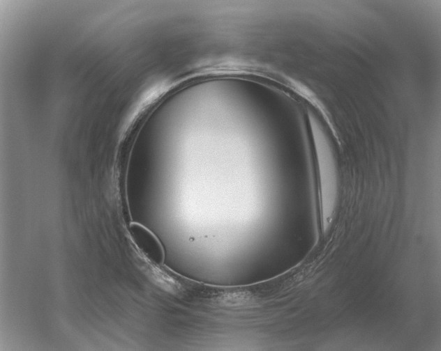 X0000052981464200507151815