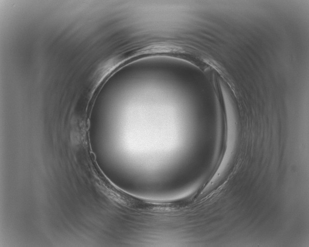 X0000052981465200507151815