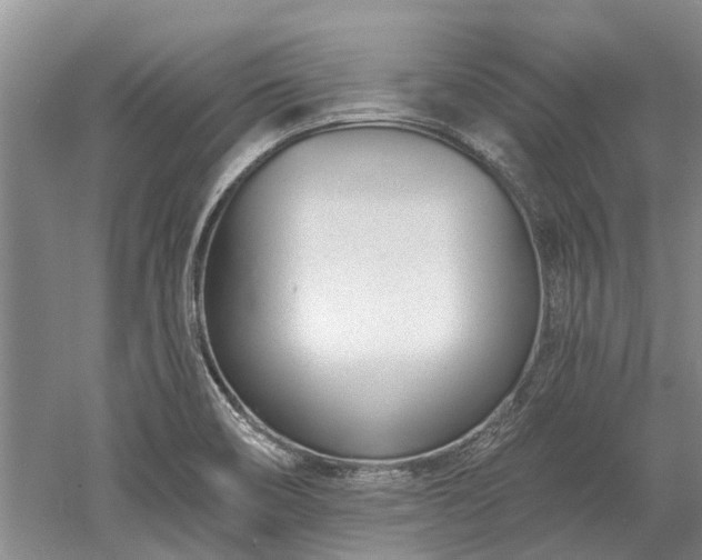 X0000052981466200507151815