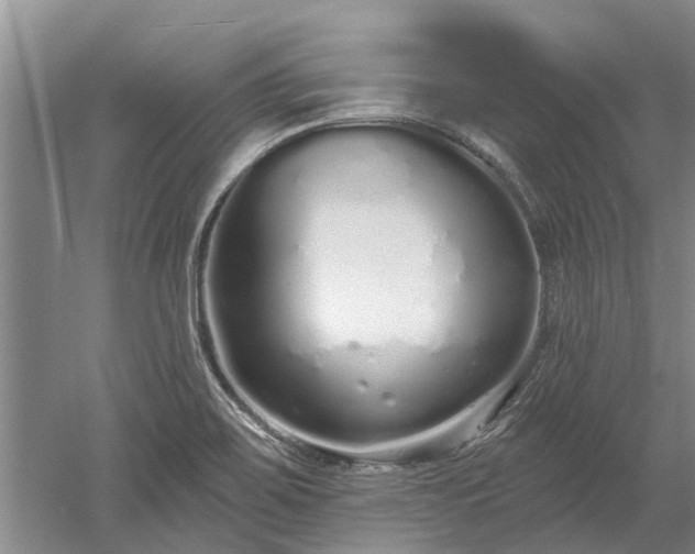 X0000052981467200507151815