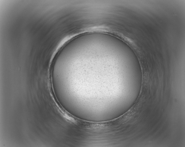 X0000052981470200507151815