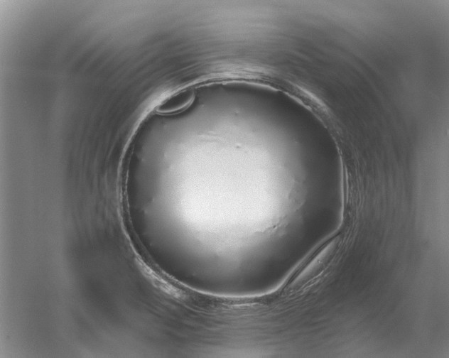 X0000052981471200507151815