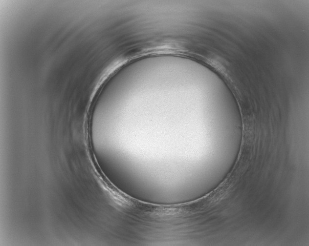 X0000052981474200507151815