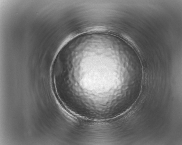 X0000052981475200507151815