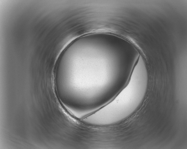 X0000052981476200507151815