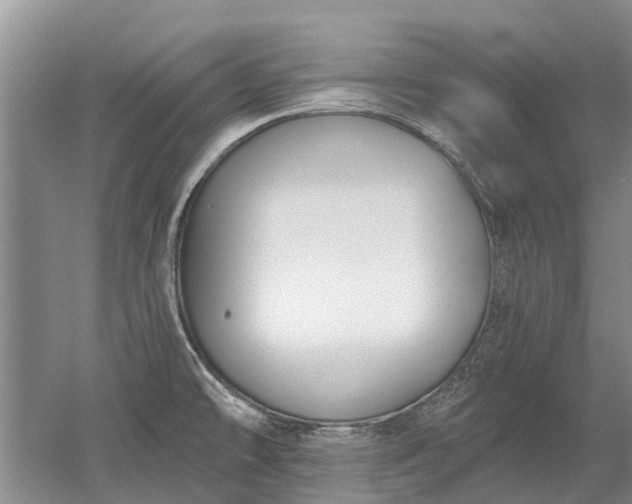 X0000052981478200507151815