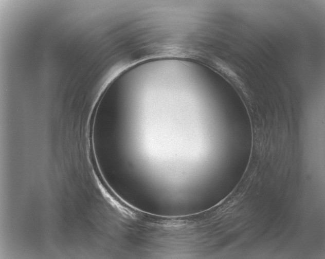 X0000052981479200507151815