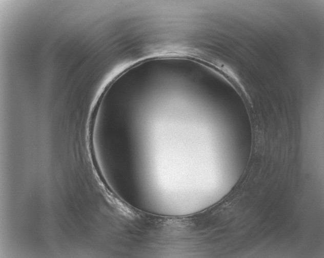 X0000052981480200507151815