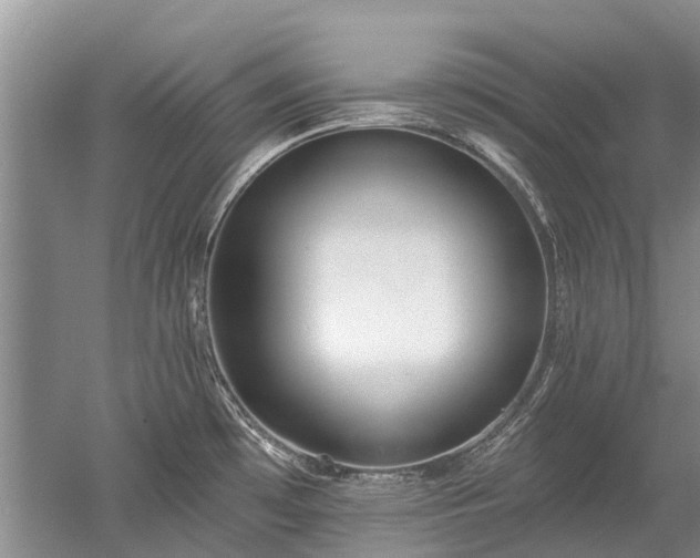 X0000052981481200507151815