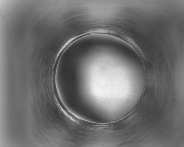 X0000052981484200507151815