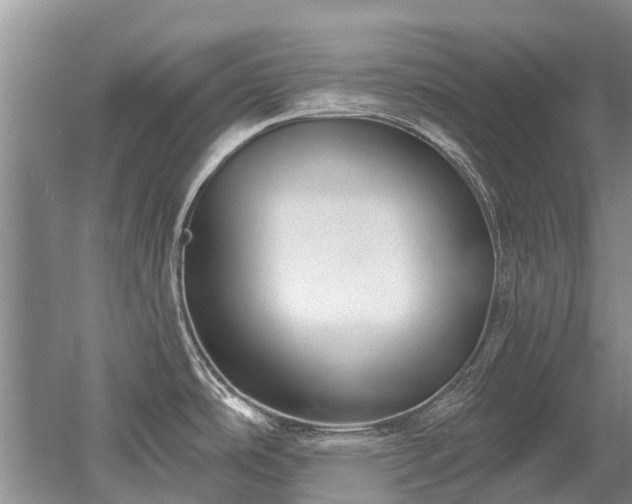 X0000052981486200507151815