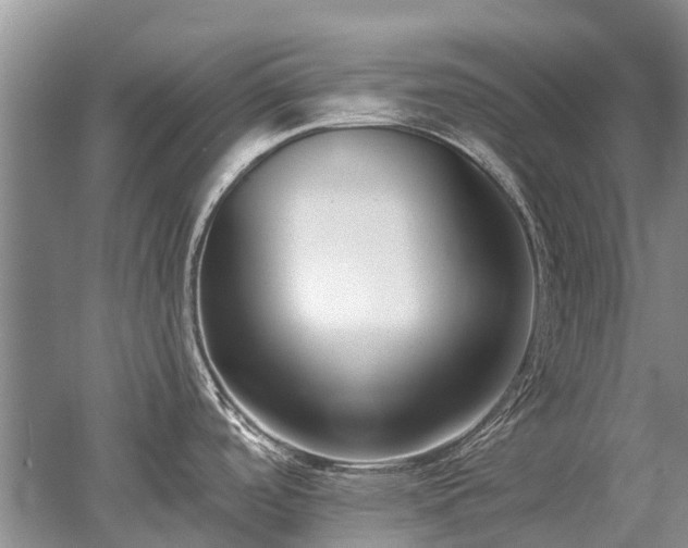 X0000052981488200507151815