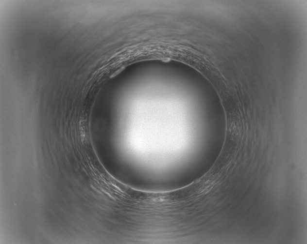 X0000052981490200507151814