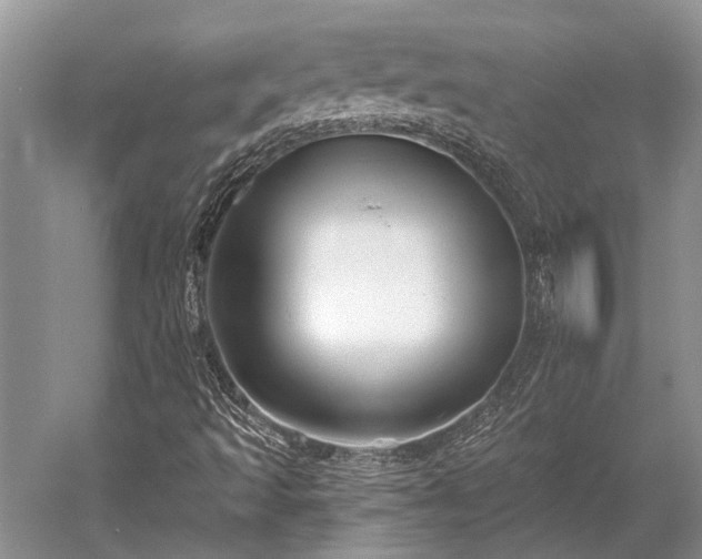 X0000052981493200507151814