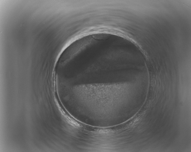 X0000052981522200507151815