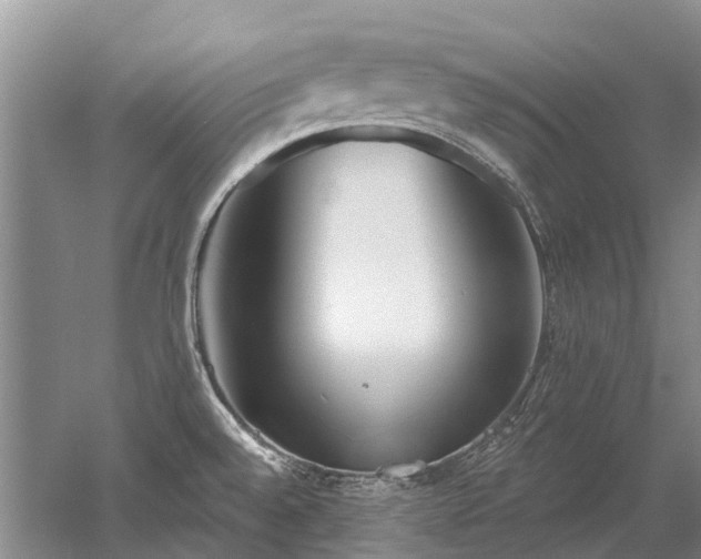 X0000052981528200507151815