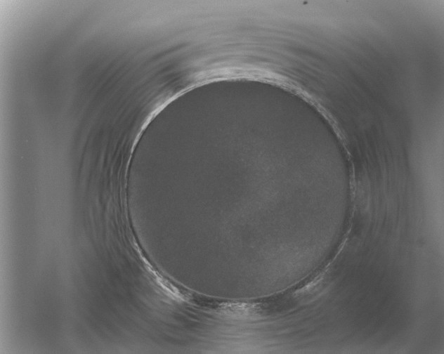 X0000052981529200507151815