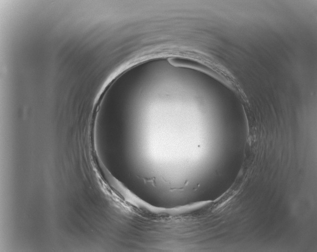 X0000052981530200507151815