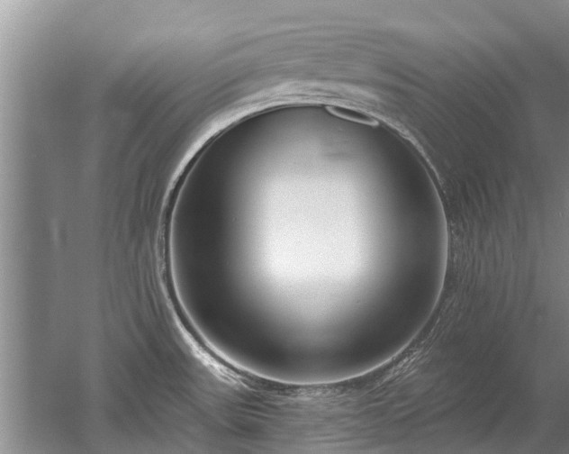 X0000052981531200507151815