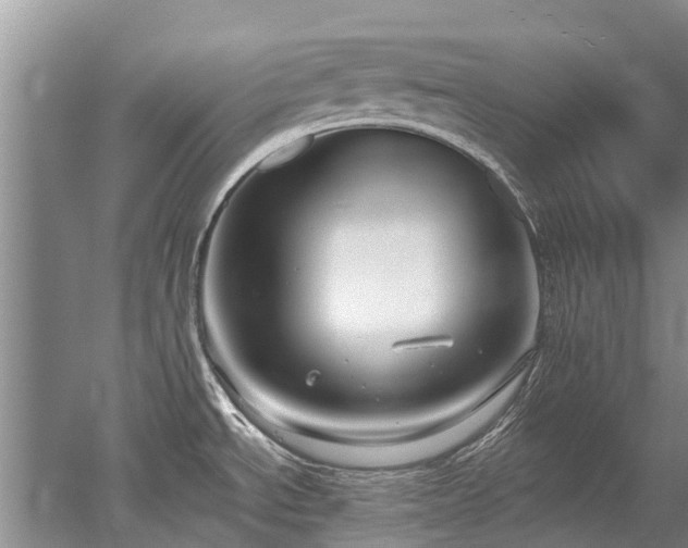 X0000052981534200507151815