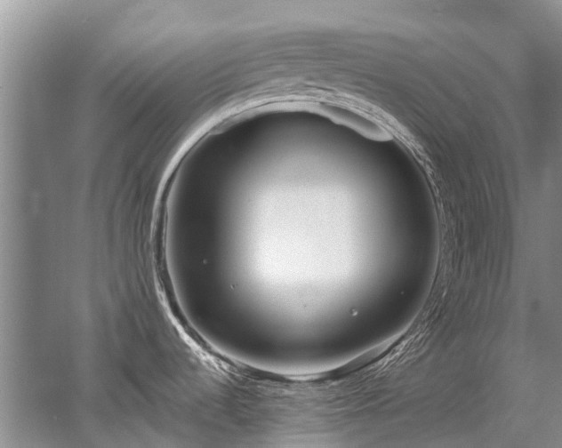 X0000052981536200507151815