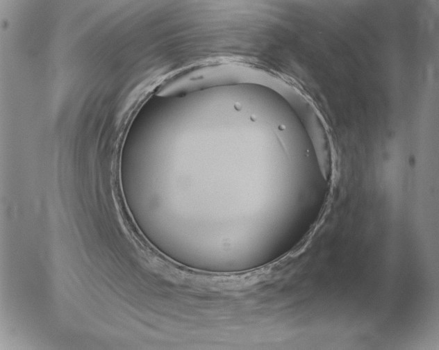 X0000052980001200507221339