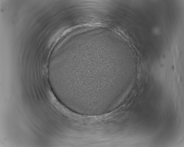 X0000052980002200507221339