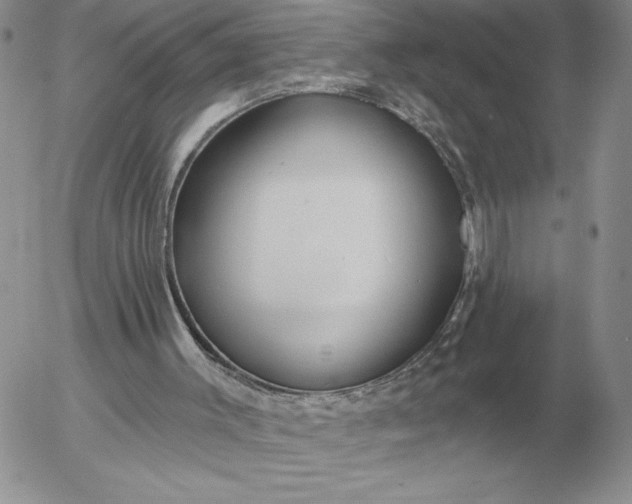 X0000052980003200507221339